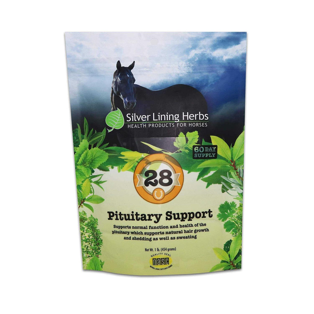 28 Pituitary Support E9842