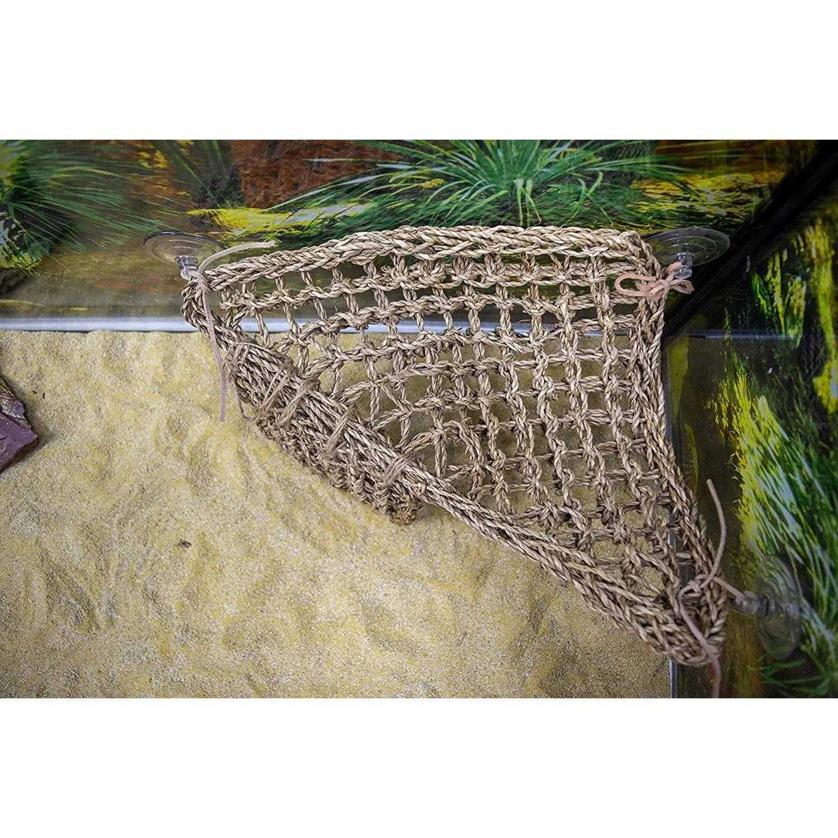 Lizard Lounger C354