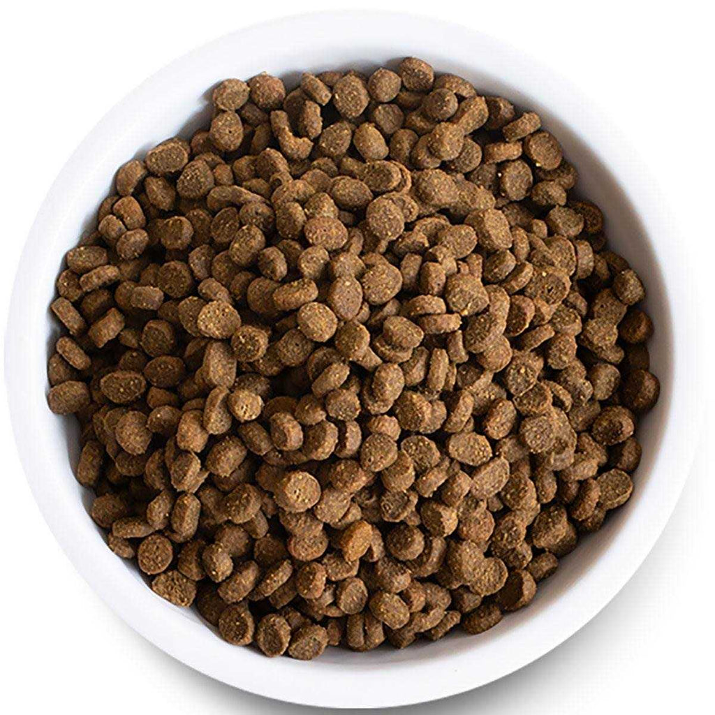 Wild-Caught Salmon Grain-Free Dry Cat Food V199