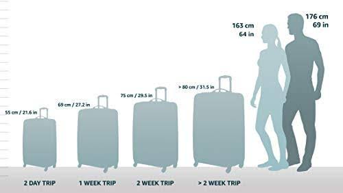 Black 2-Piece Hardside Spinner Luggage Set O851