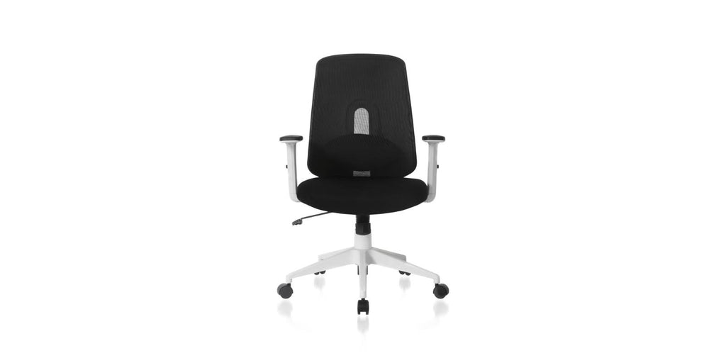 Ergonomic Swivel Office Chair with Lumbar Adjust (Black) C62332