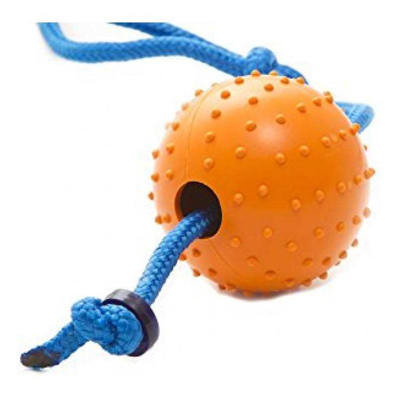 Pet Squeaker Toy W9901