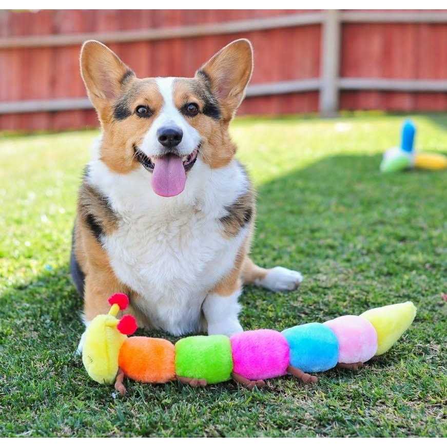 Caterpillar Dog Toy E488