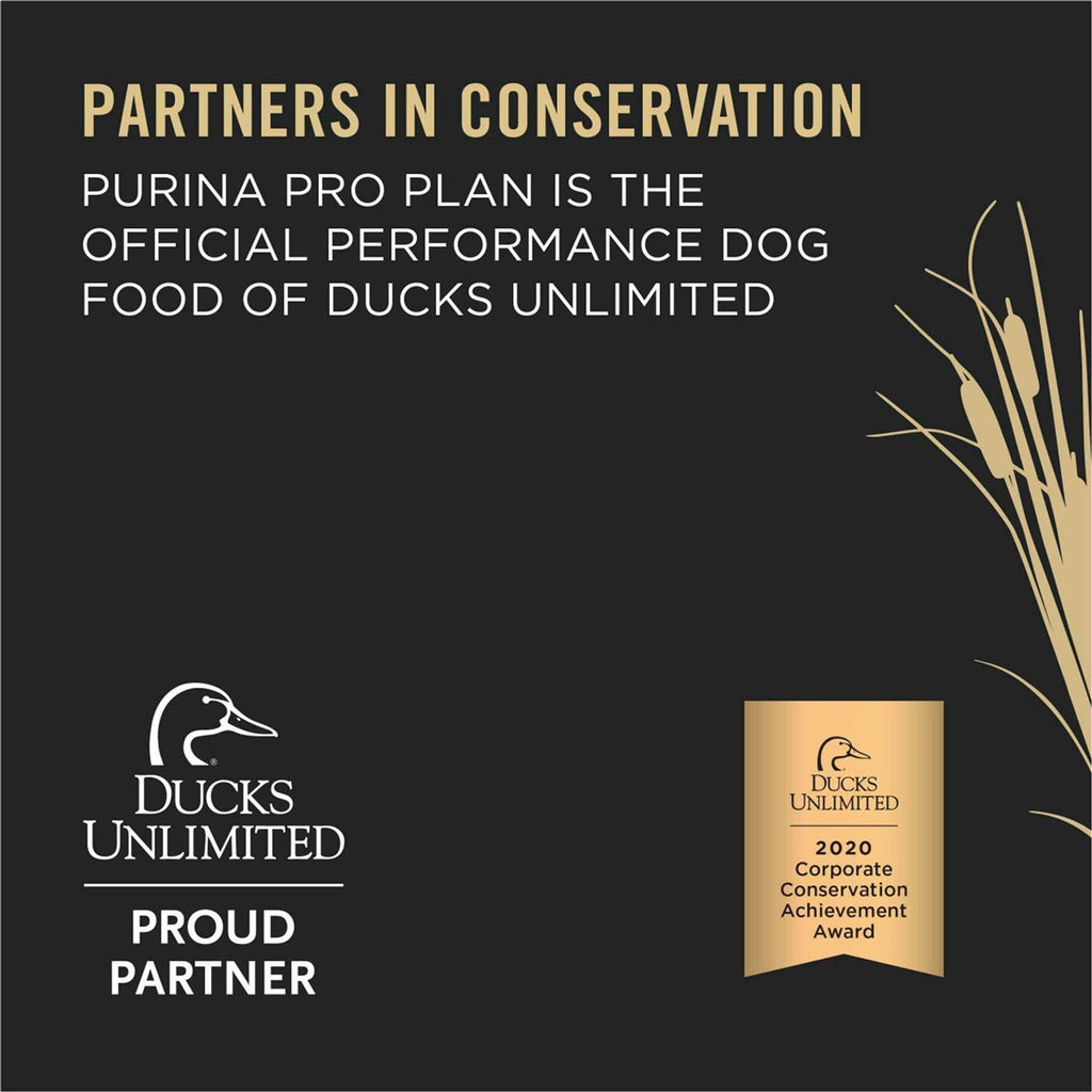 Dry Dog Food F18830
