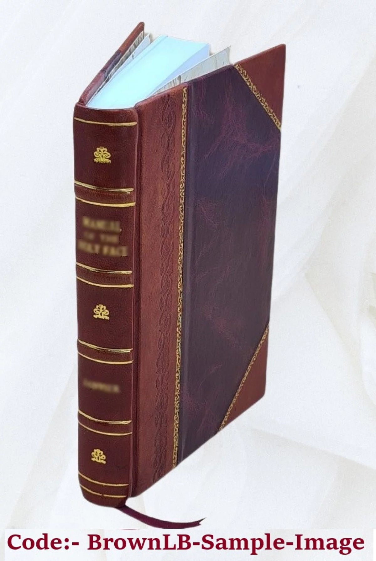 Leather Bound Physics Lectures R5241