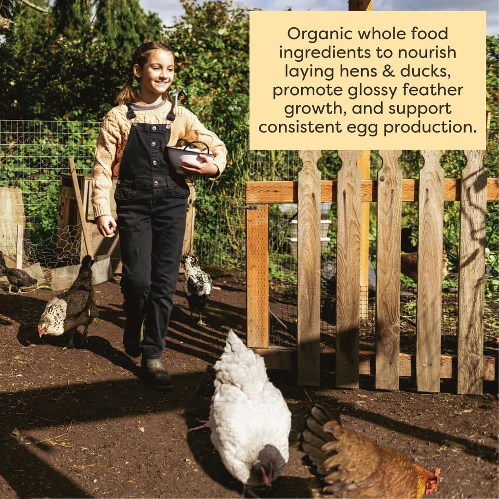 Organic Whole Grain Layer Feed + Corn 18% Protein Chicken and Duck Feed 40lb J658