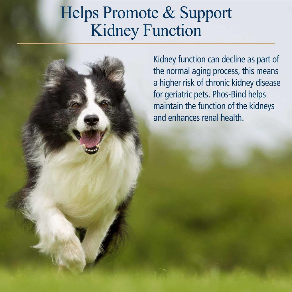 Pet Supplies R61872