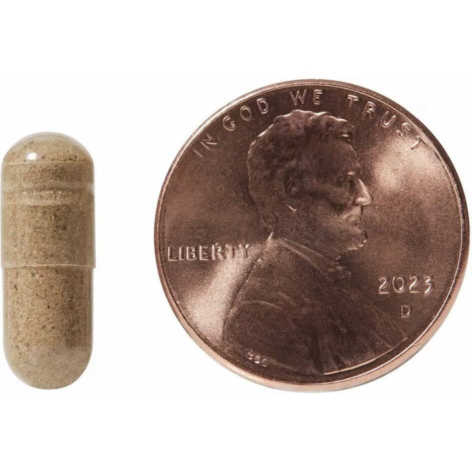 Cat Supplement A633