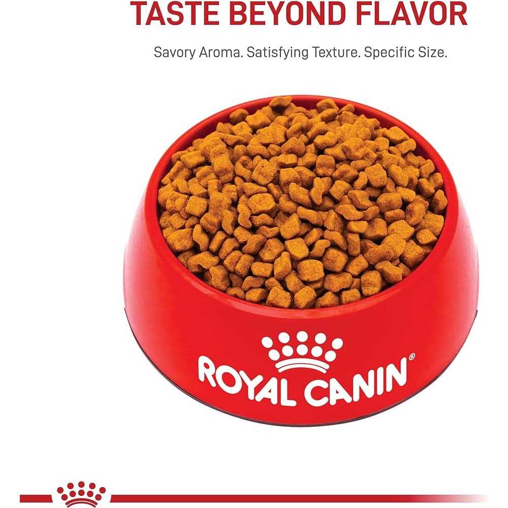 Dry Dog Food R913