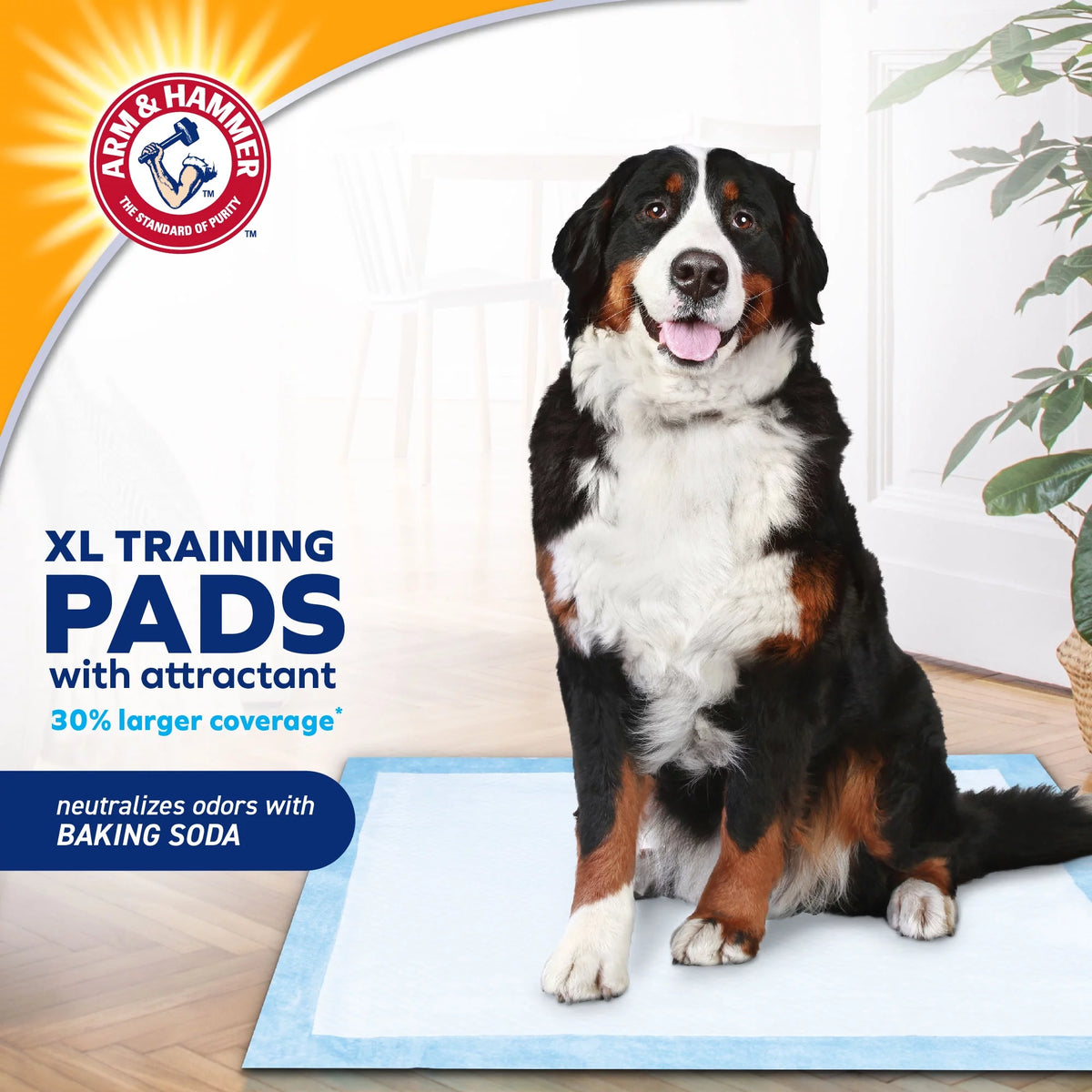 XL Dog Training Pads 54ct B764026