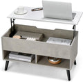 Lift Top Coffee Table with Hidden Compartment and 2 Open Shelves X51790