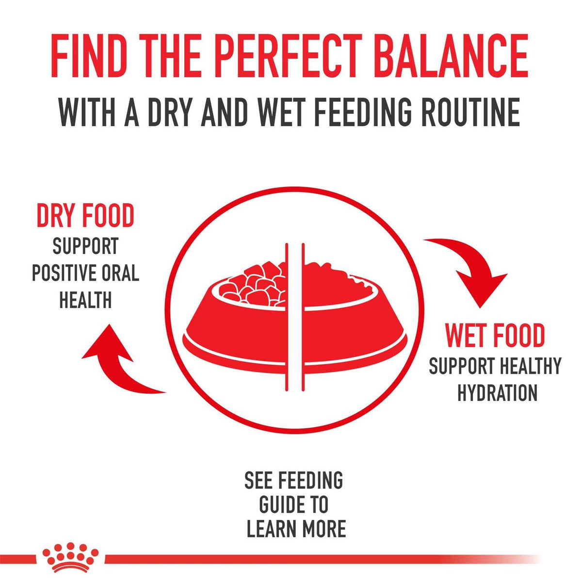 Dry Dog Food R913