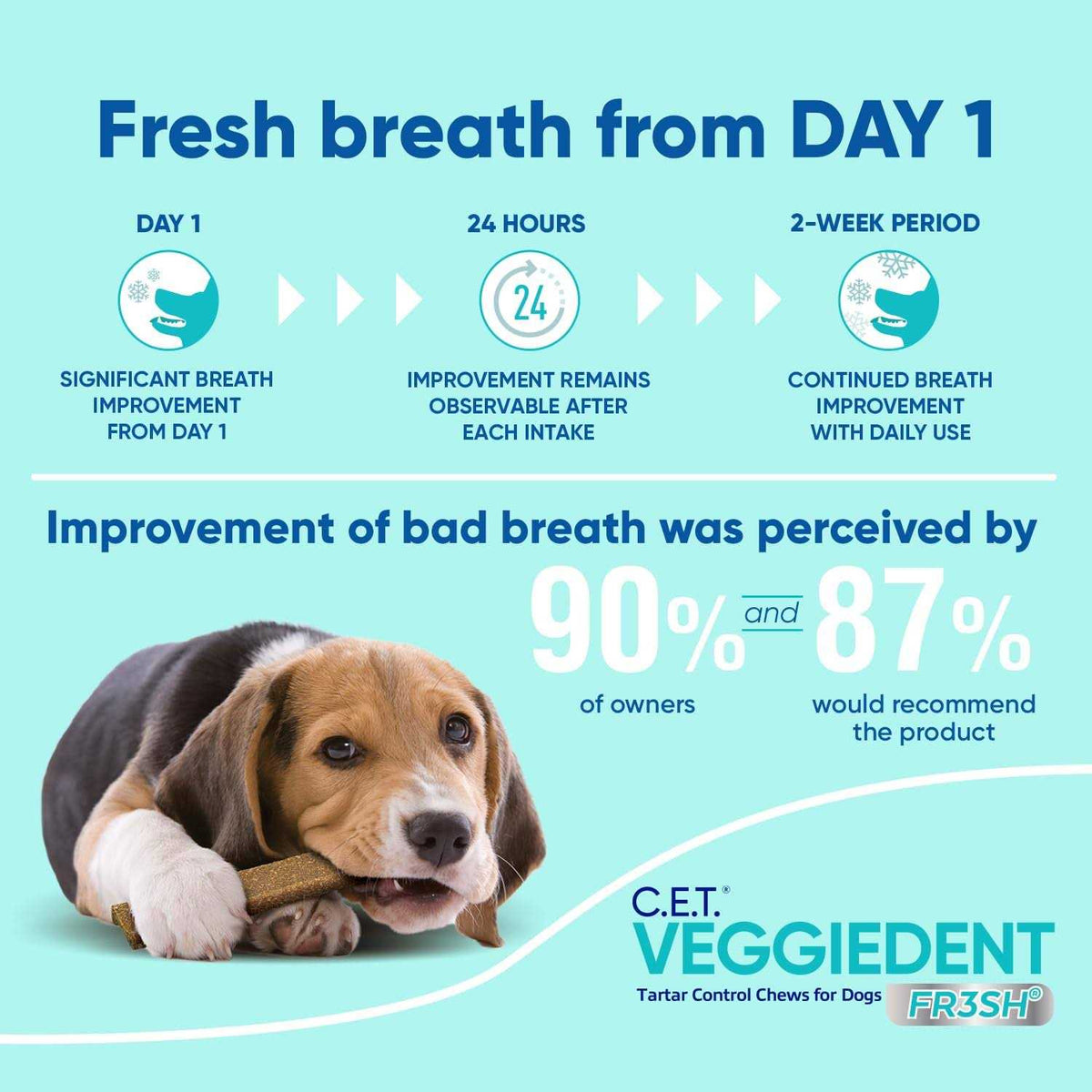 VeggieDent Tartar Control Chews for Dogs S704971