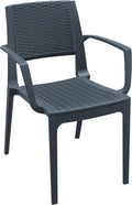 Brown Resin Dining Arm Chair C462