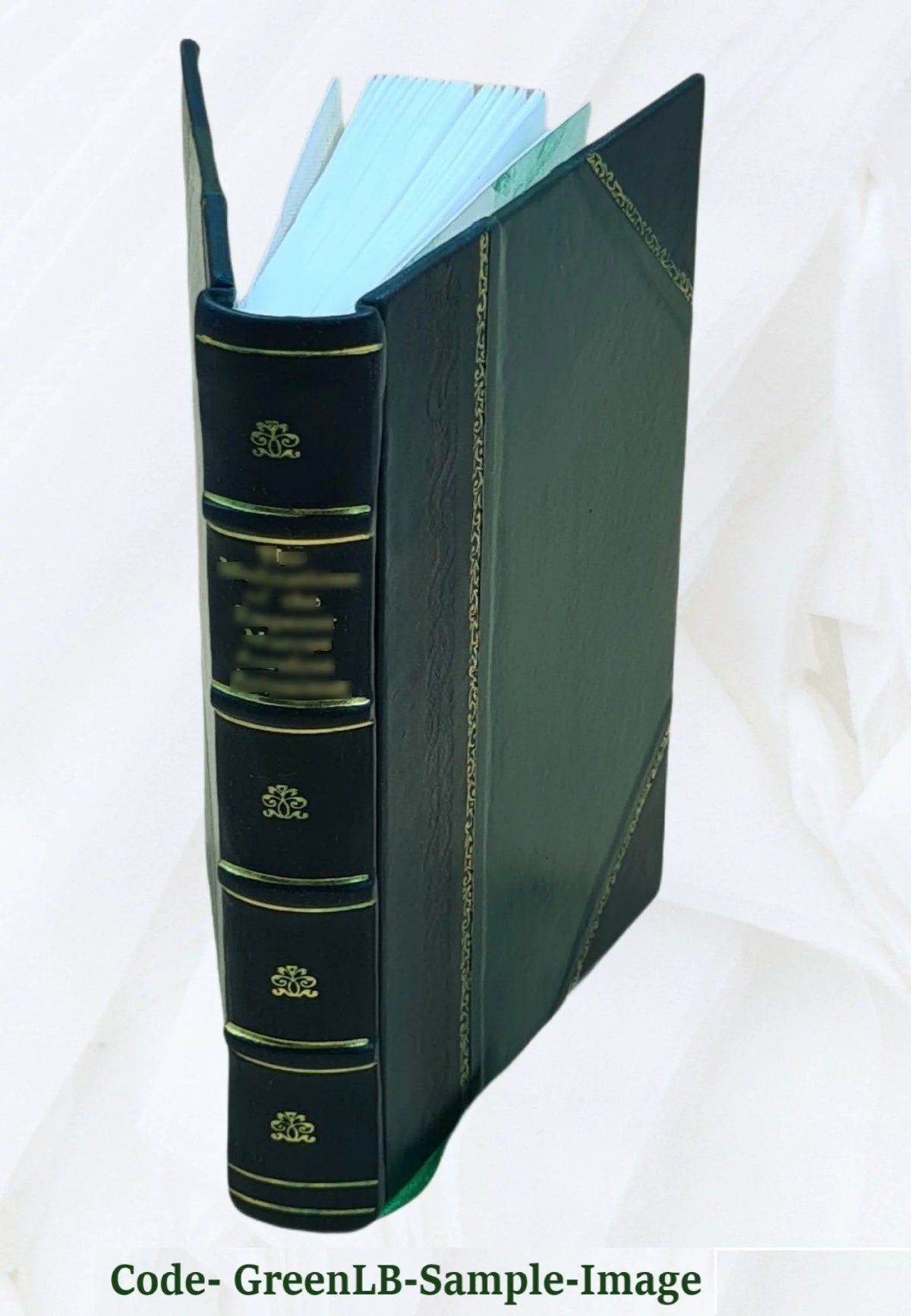 Leather Bound Physics Lectures R5241