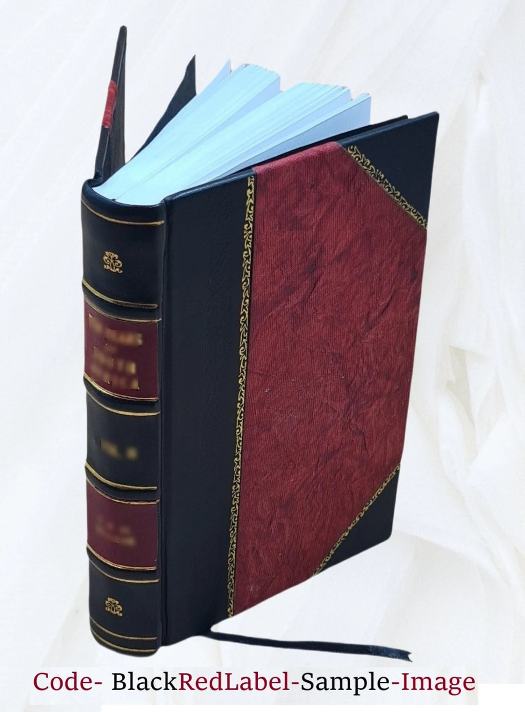 Leather Bound Physics Lectures R5241