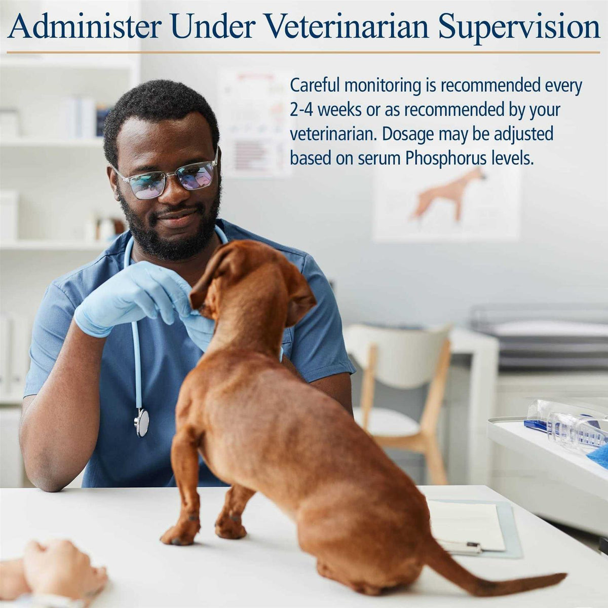 Pet Supplies R61872
