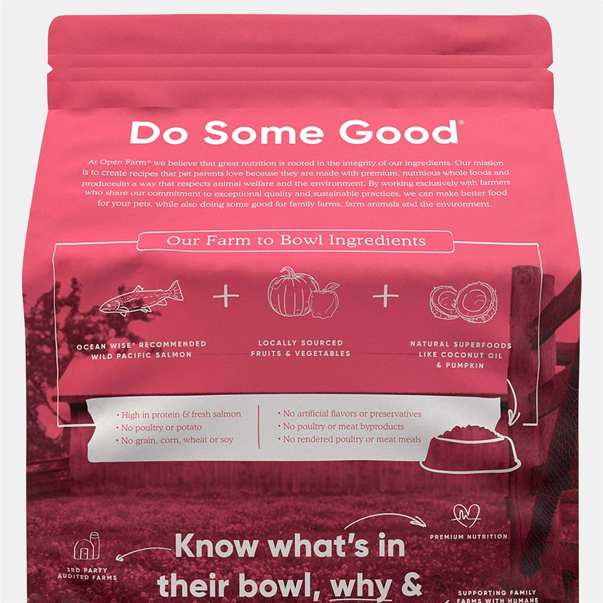 Wild-Caught Salmon Grain-Free Dry Cat Food V199